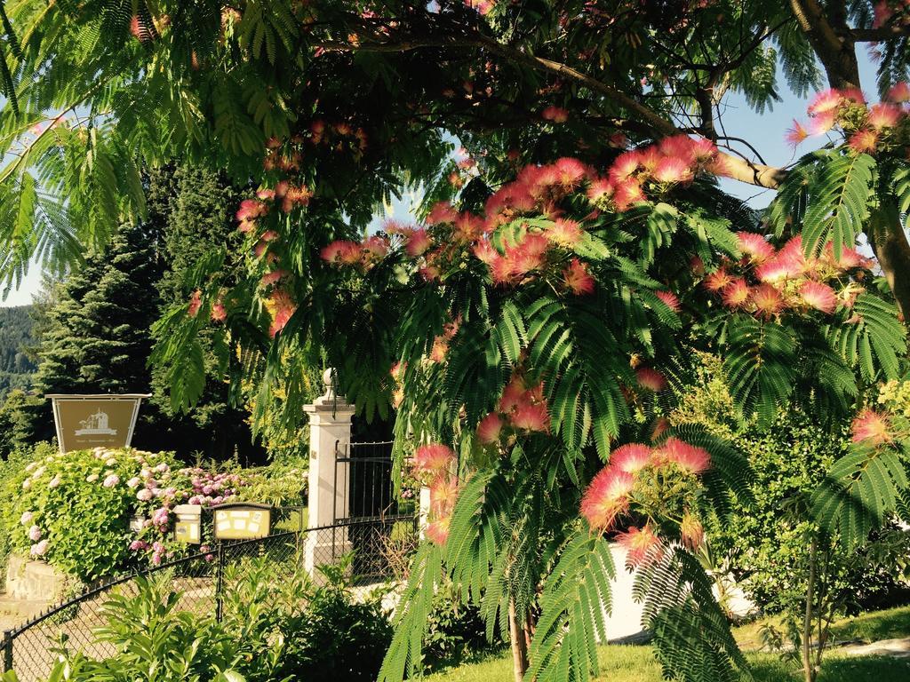 Bed and Breakfast Haus Marianne Millstatt Esterno foto