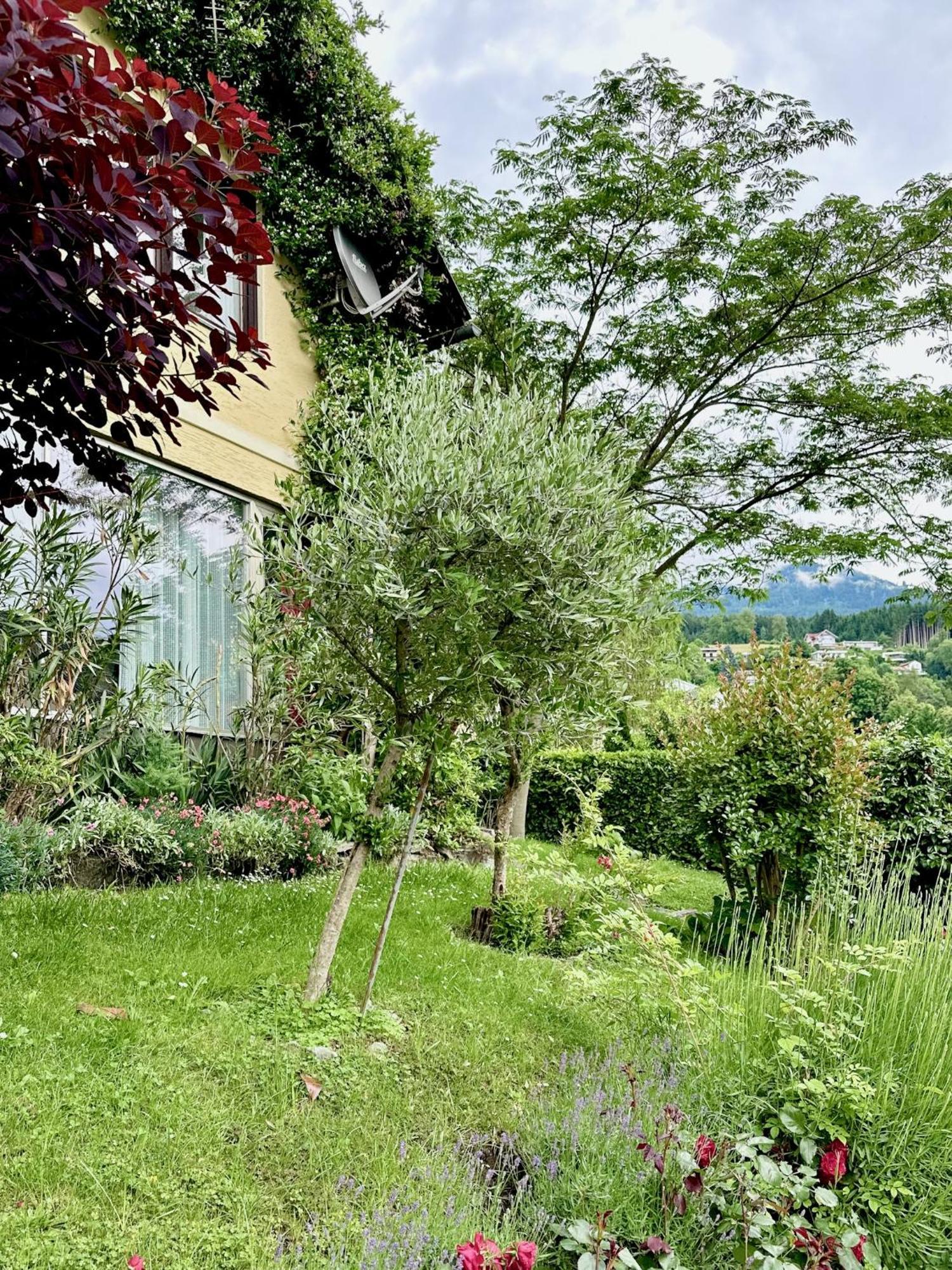 Bed and Breakfast Haus Marianne Millstatt Esterno foto
