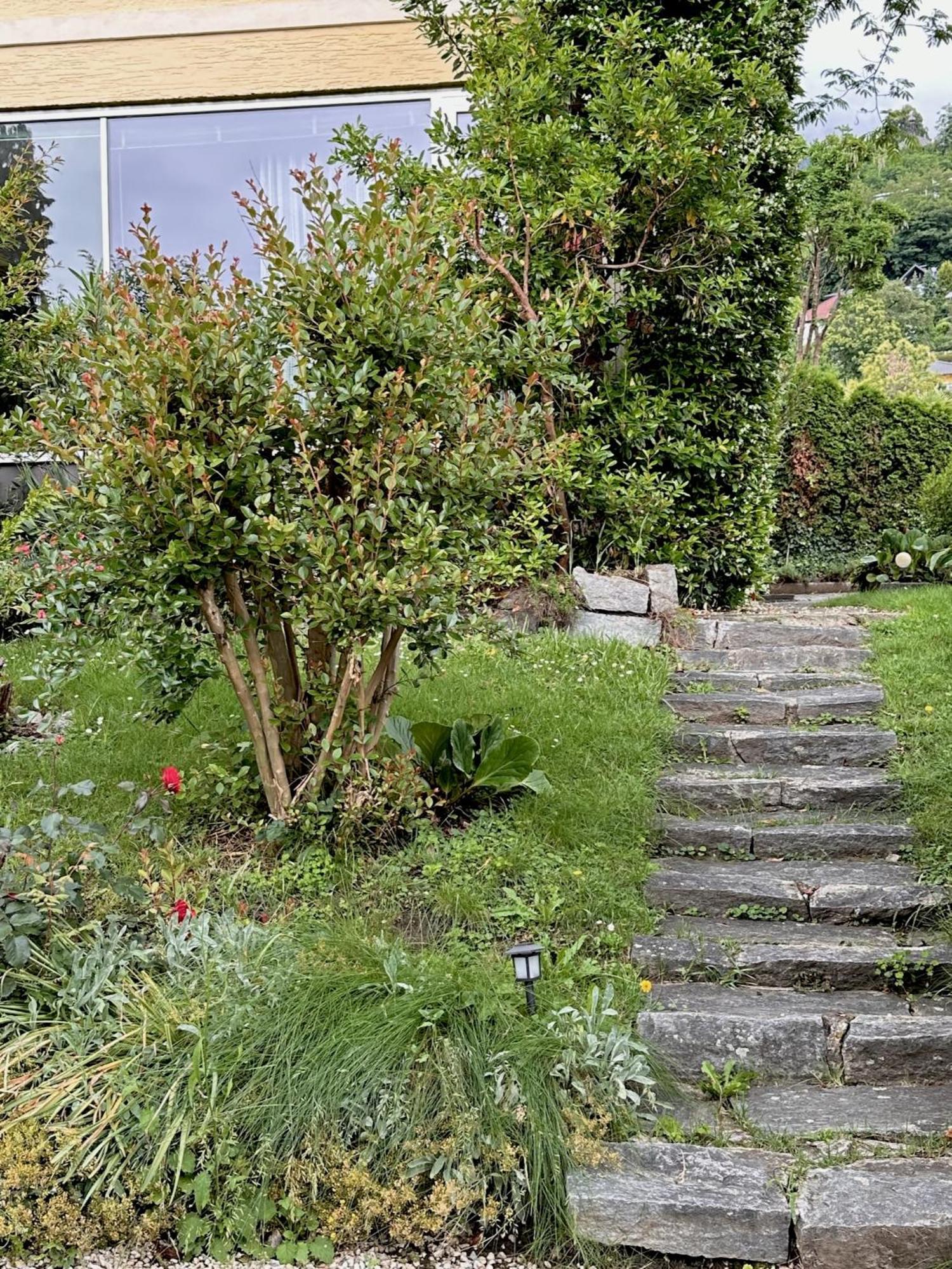 Bed and Breakfast Haus Marianne Millstatt Esterno foto