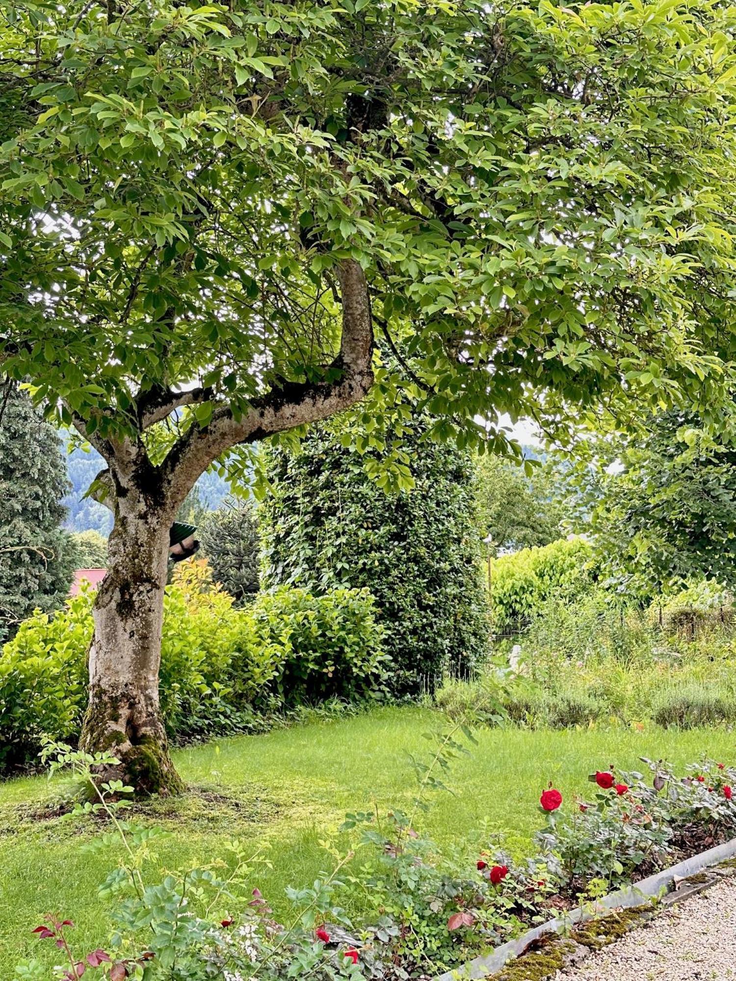 Bed and Breakfast Haus Marianne Millstatt Esterno foto